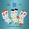 Pet Box для кошатников by Jarvi &amp; St.Friday Socks